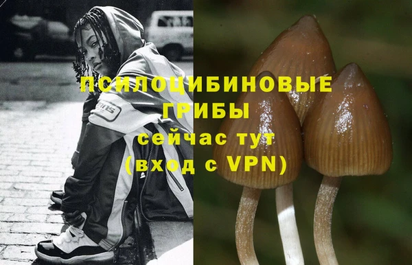 бутират Лагань