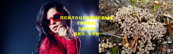 кокс Лабытнанги