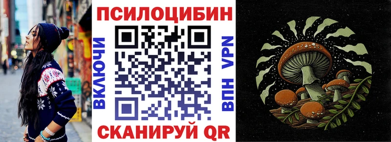 shop какой сайт Чулым Галлюциногенные грибы прущие грибы гидра ССЫЛКА